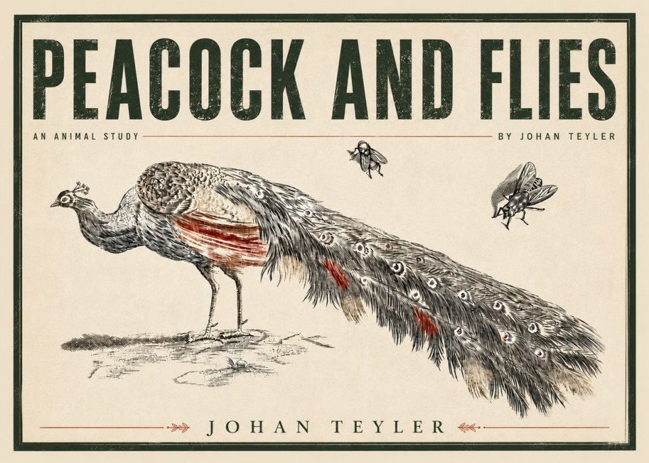 Johan Teyler Peacock and Flies - Animal Study No5 - Poster