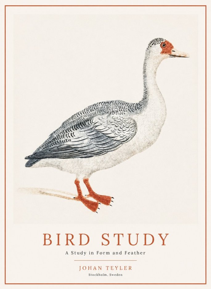 Johan Teyler Goose Study No2 - Poster