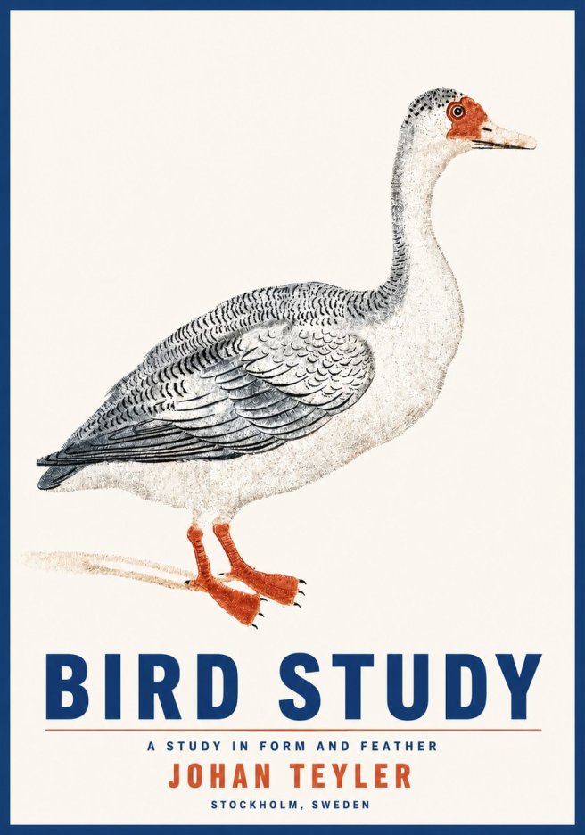 Johan Teyler Goose Study No5 - Poster
