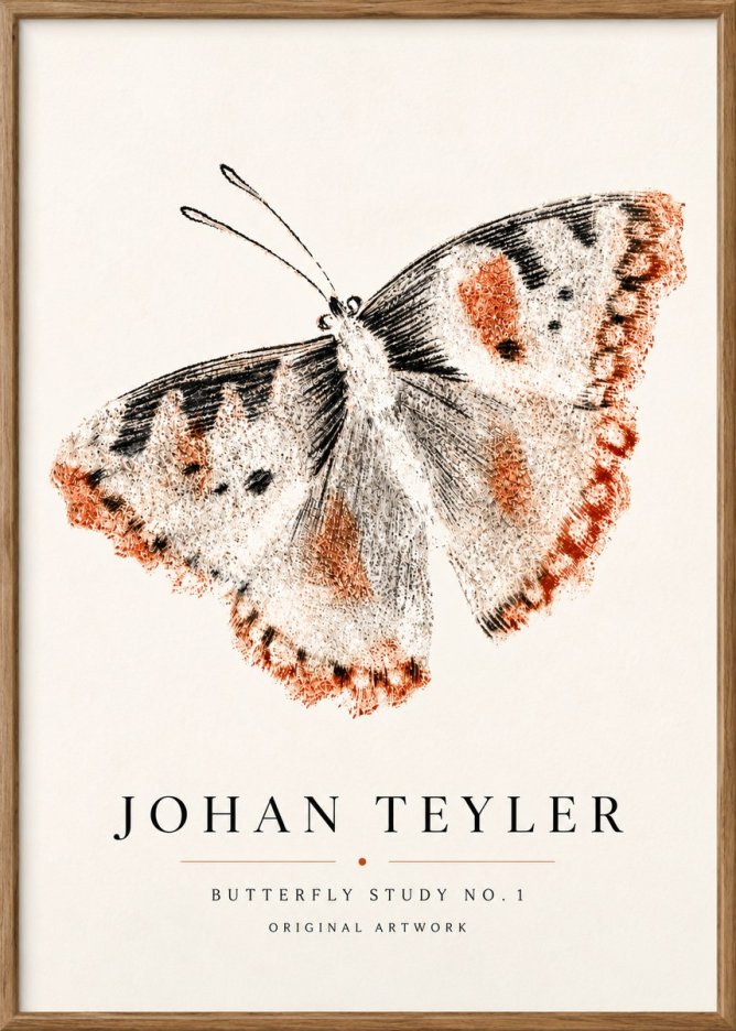 Johan Teyler Butterfly Study No.1 No5 - Poster
