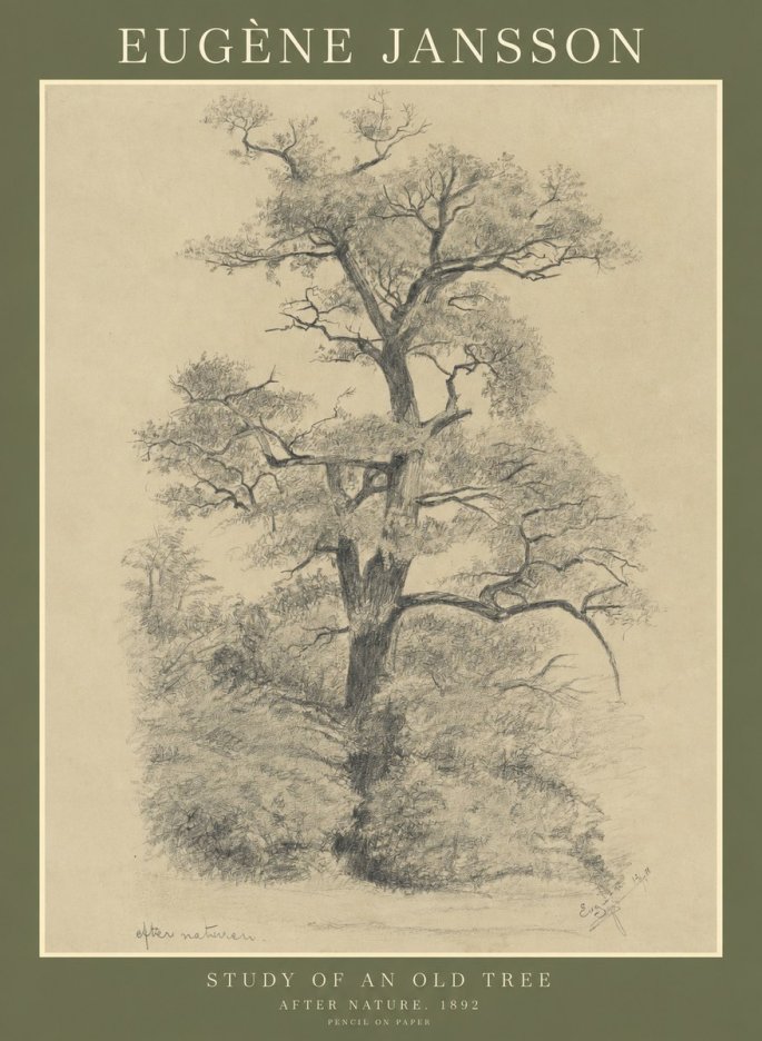 Eugène Jansson Study of an Old Tree No1 - Poster