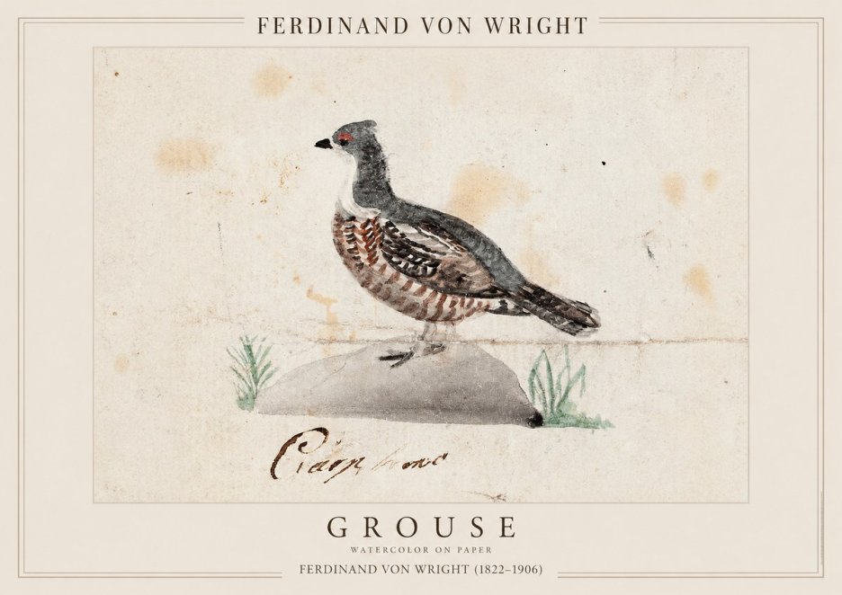 Ferdinand von Wright Grouse No1 - Poster