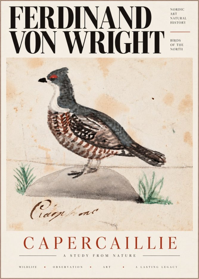 Ferdinand von Wright Grouse No6 - Poster