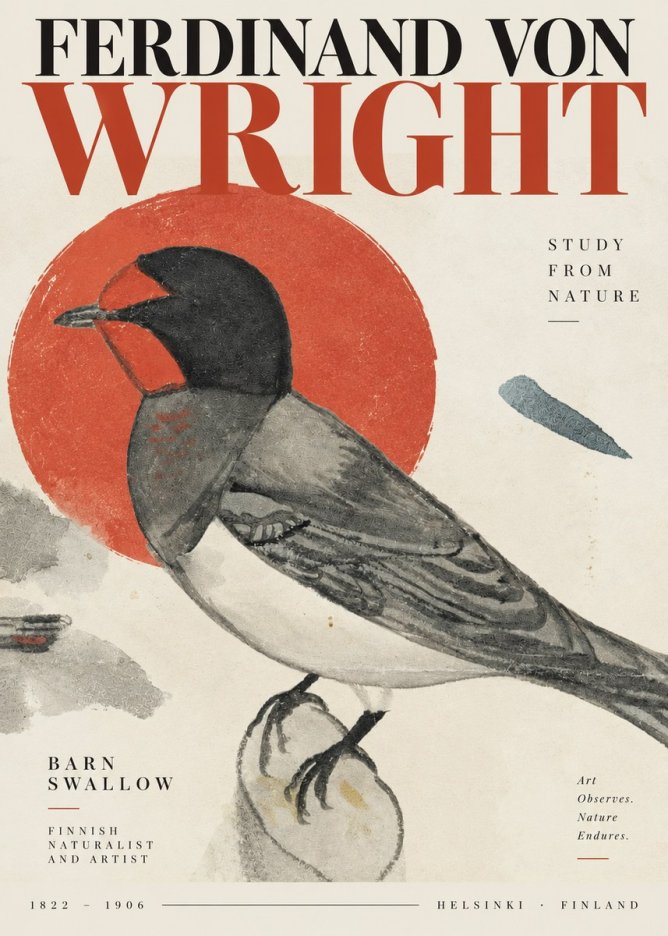 Ferdinand von Wright The Swallow No4 - Poster