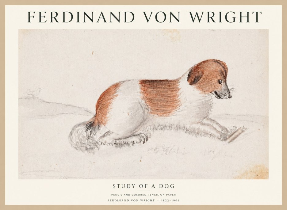 Ferdinand von Wright Study of a Dog No1 - Poster