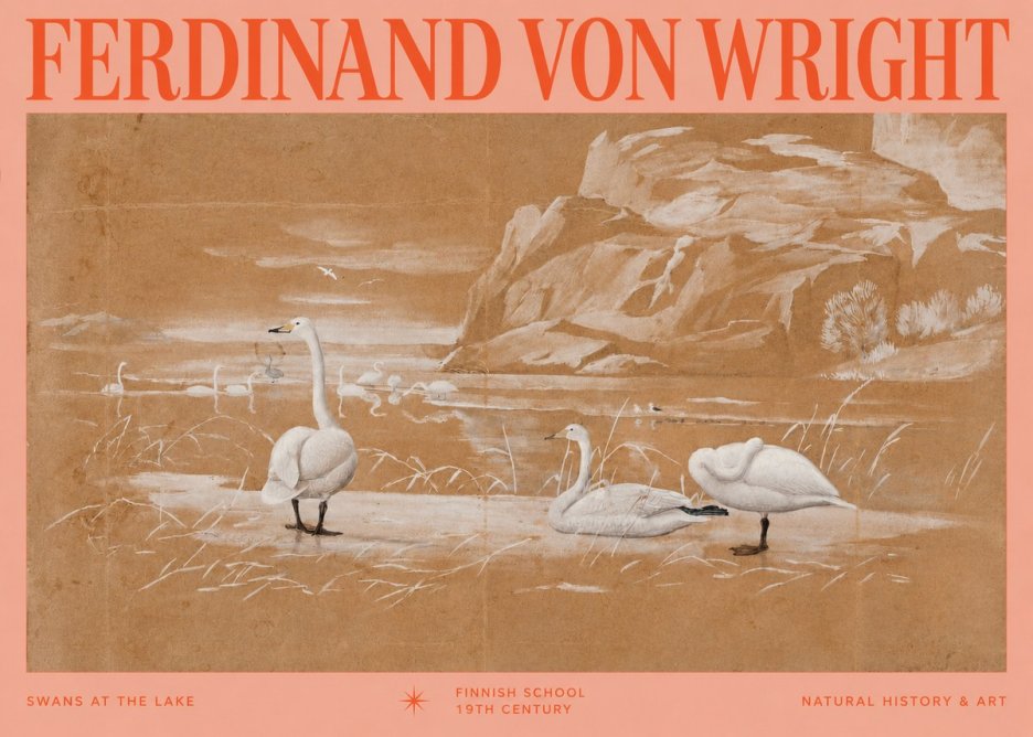 Ferdinand von Wright Swans at the Lake No2 - Poster