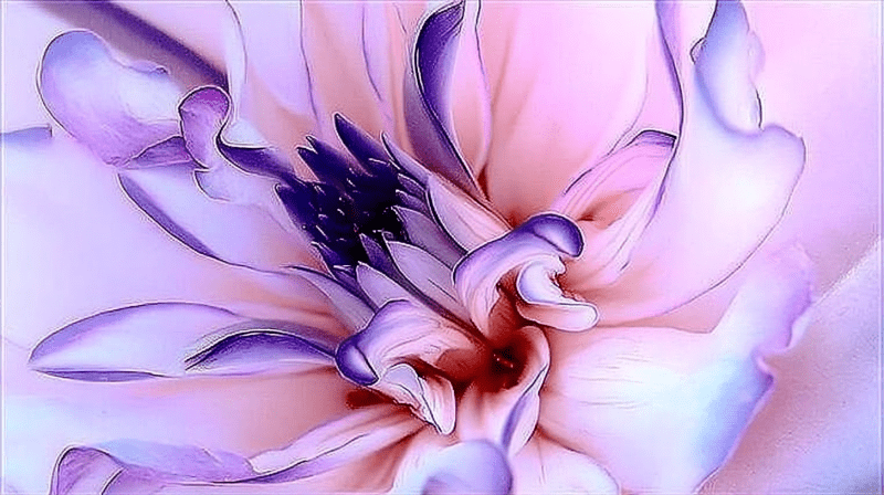 Uploaded
wallpaper