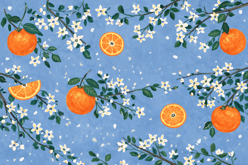 Uploaded
wallpaper