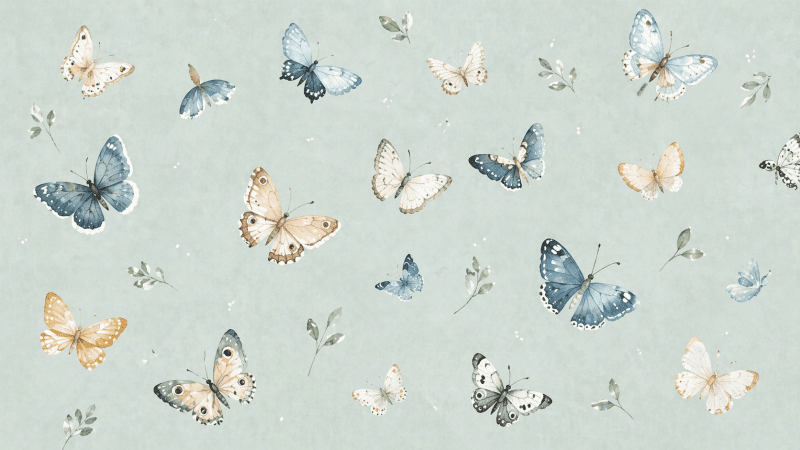 Uploaded
wallpaper