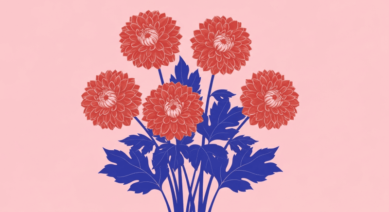 Uploaded
wallpaper