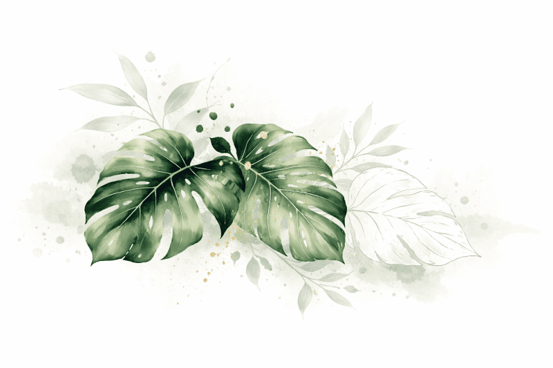 Uploaded
wallpaper