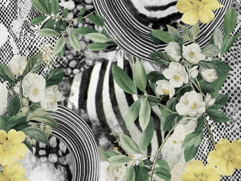 Uploaded
wallpaper