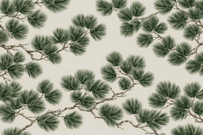 Uploaded
wallpaper