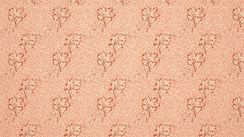 Uploaded
wallpaper