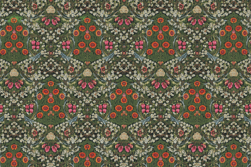 Uploaded
wallpaper