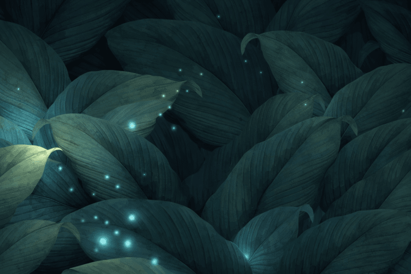 Uploaded
wallpaper