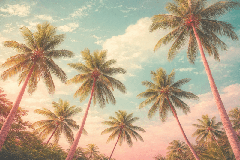 Uploaded
wallpaper