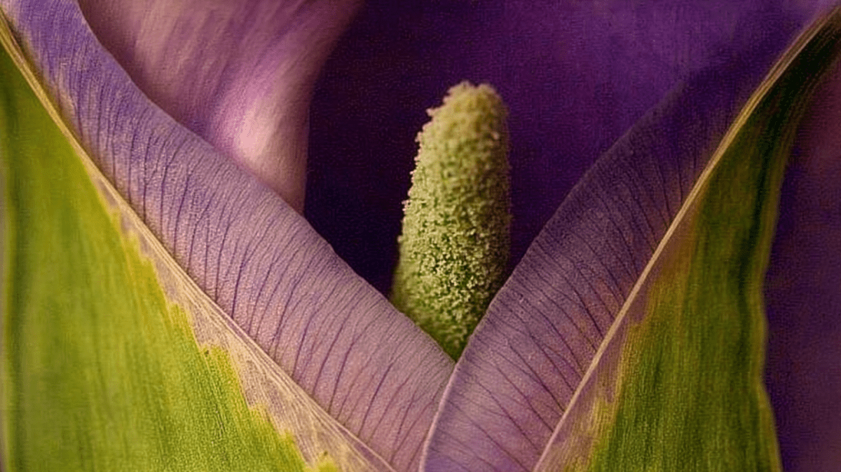 Whispers Of Flora