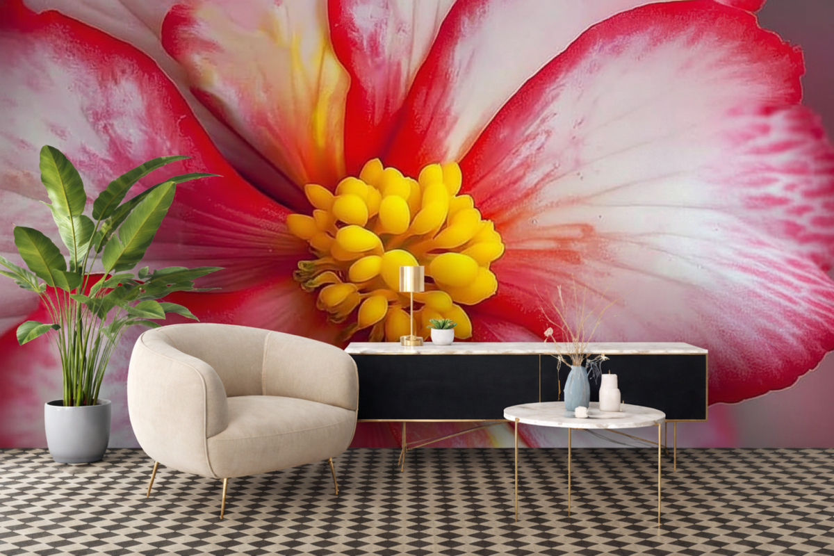 Blossom Tidal