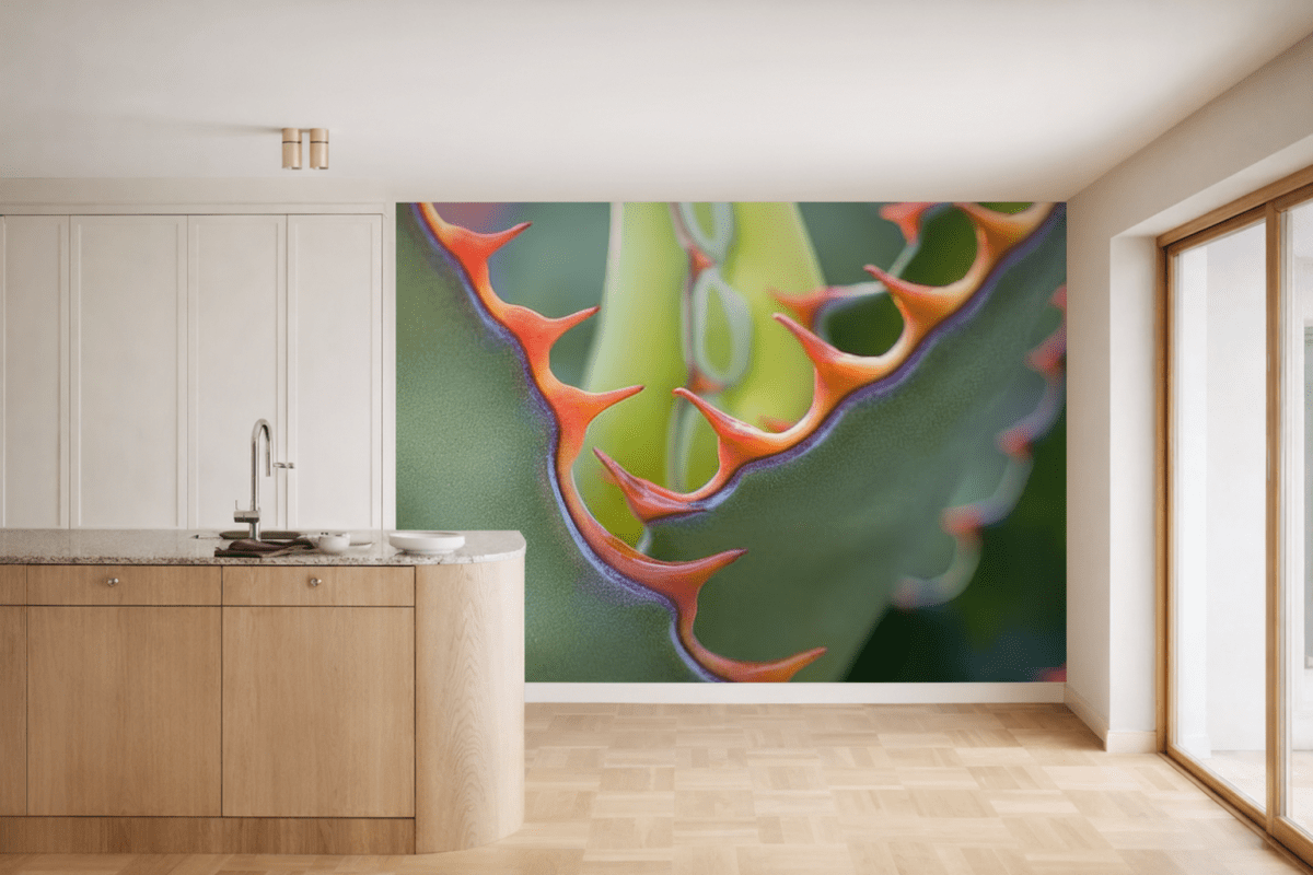 Cacti Fractals