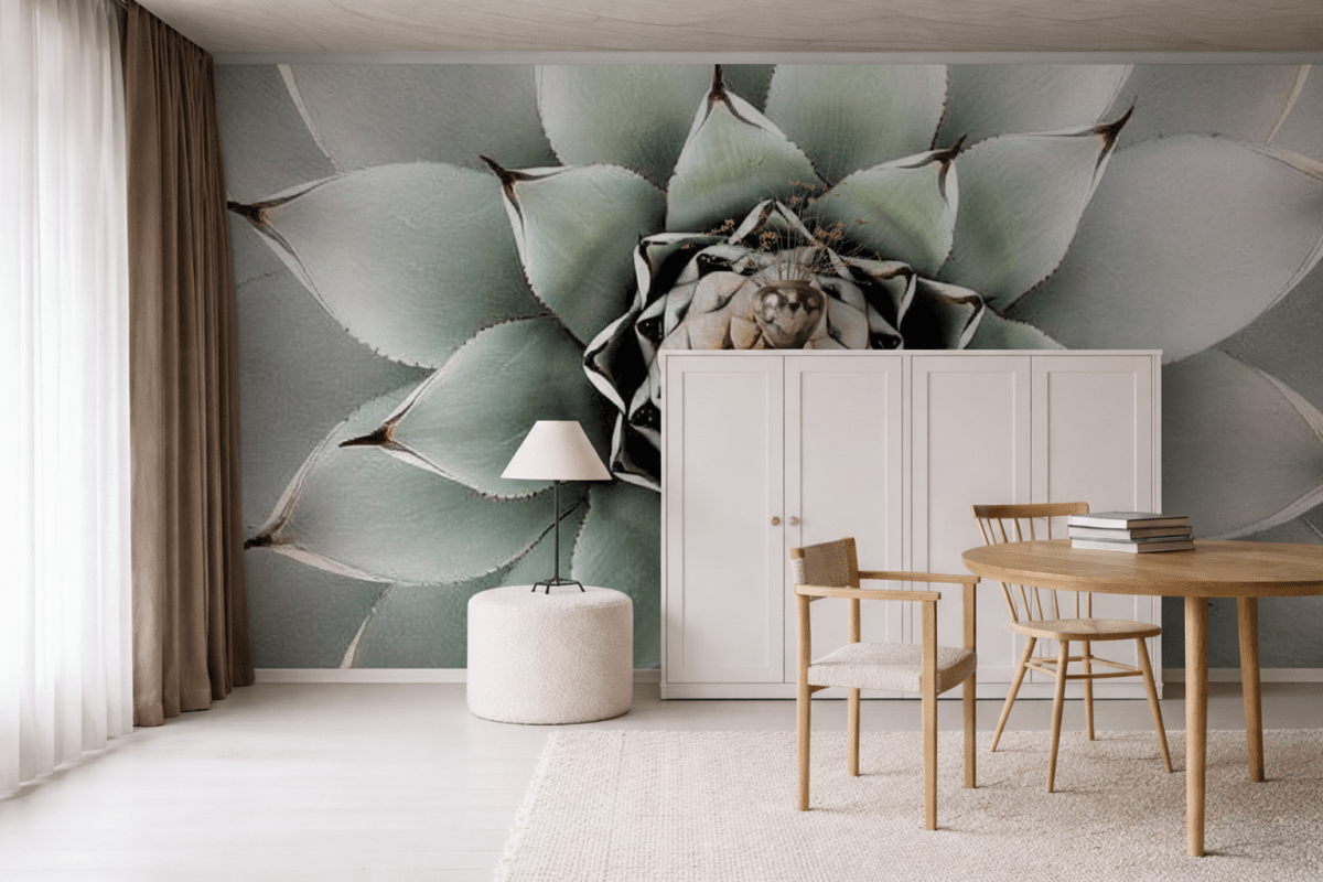 Agave Spiral