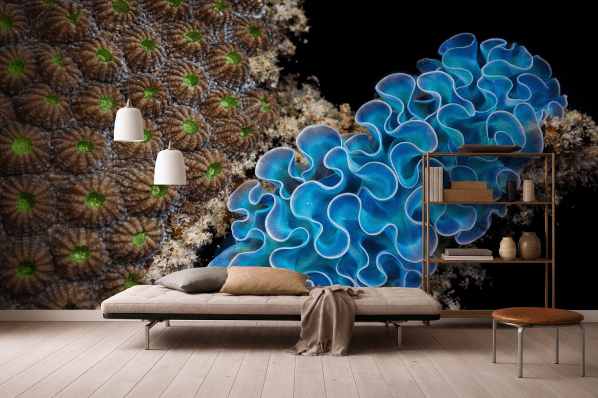 Undulating Reef
