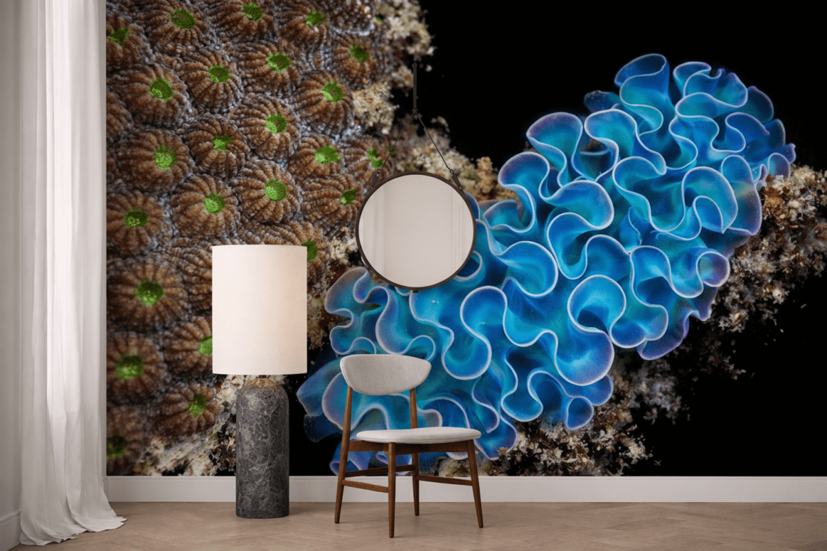 Undulating Reef