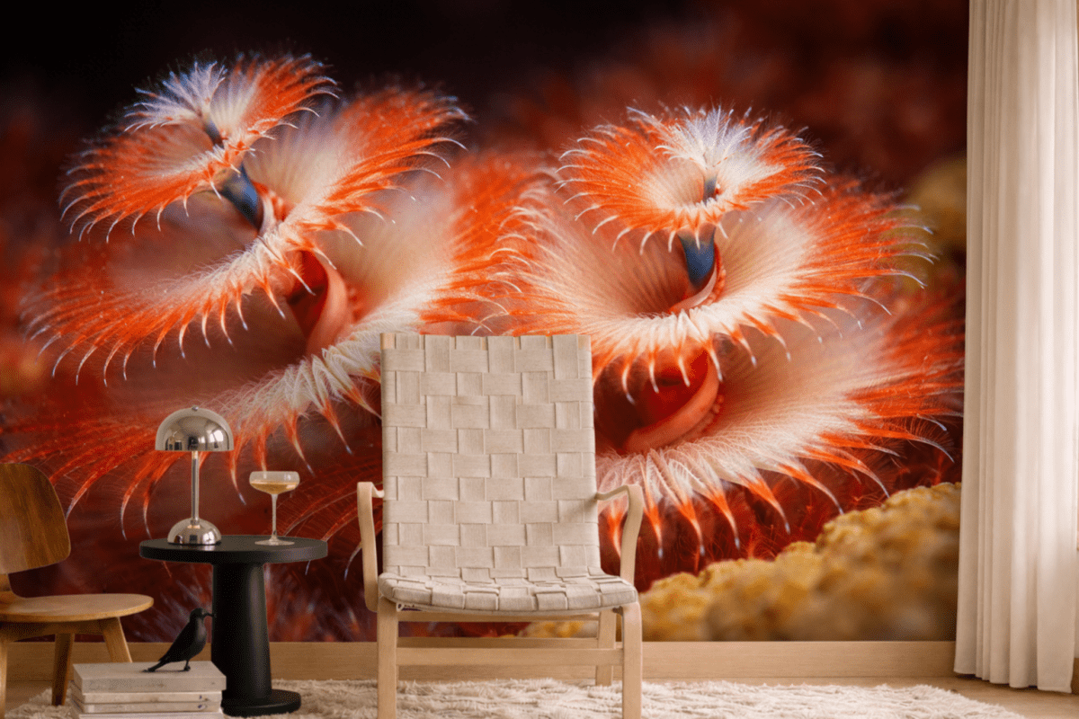 Spiral Flame