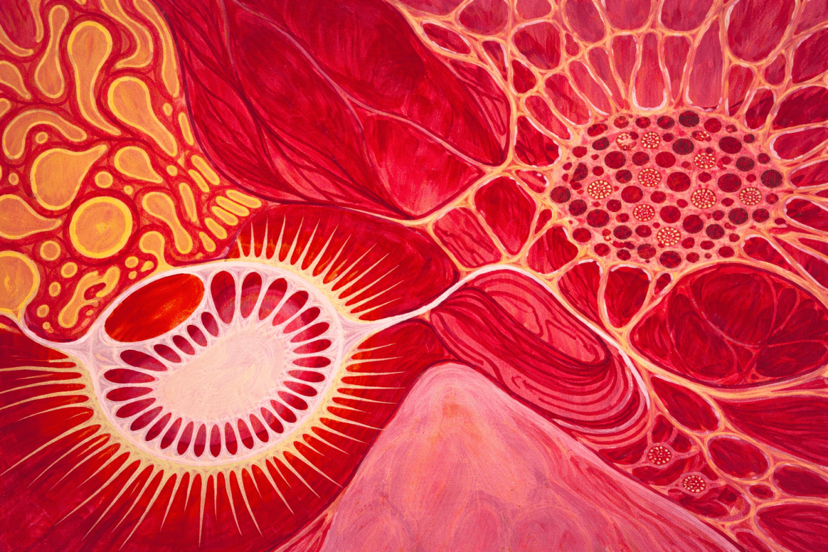 Radiant Formation