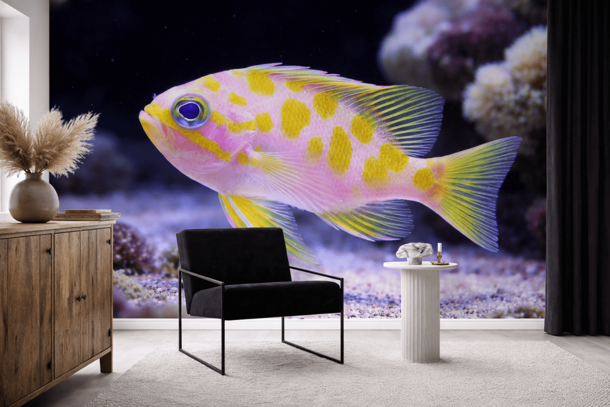 Sunlit Reef Echo