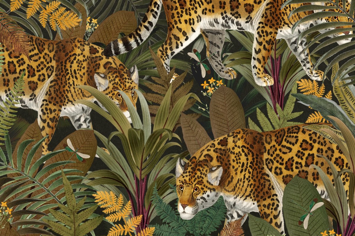 Jungle Network