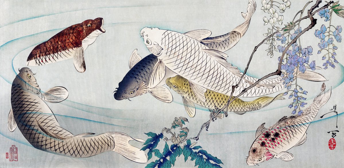 Koi Reverie