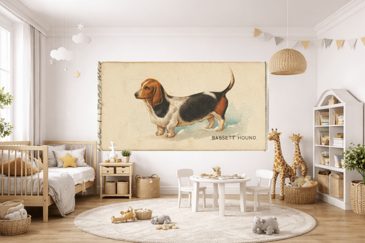 Basset Curiosity