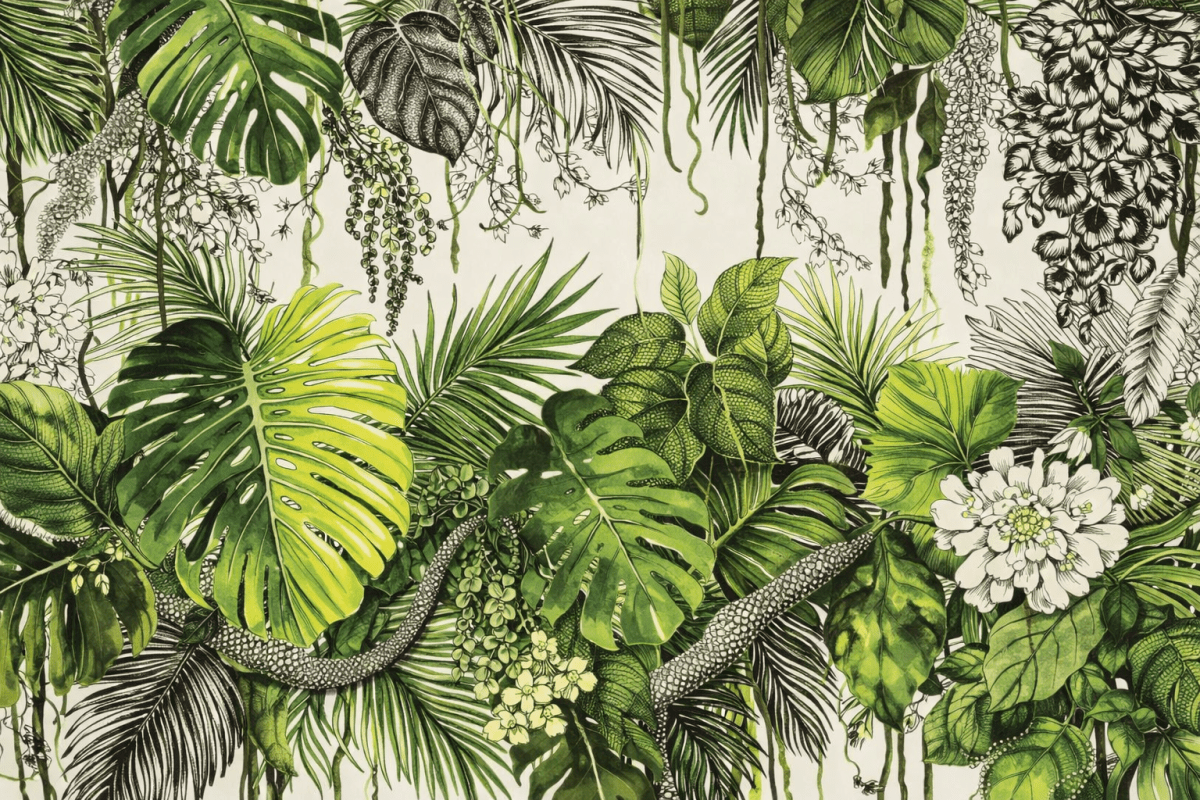 Canopy Vines