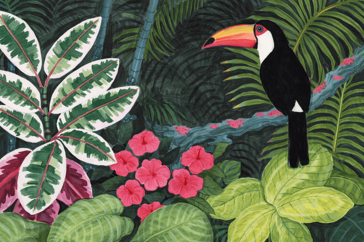 Toucan S Retreat