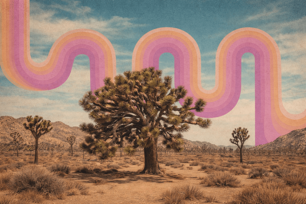Sinuous Terrain