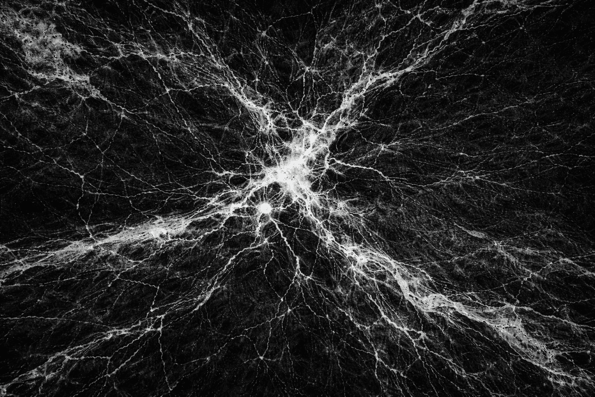 Vein Network