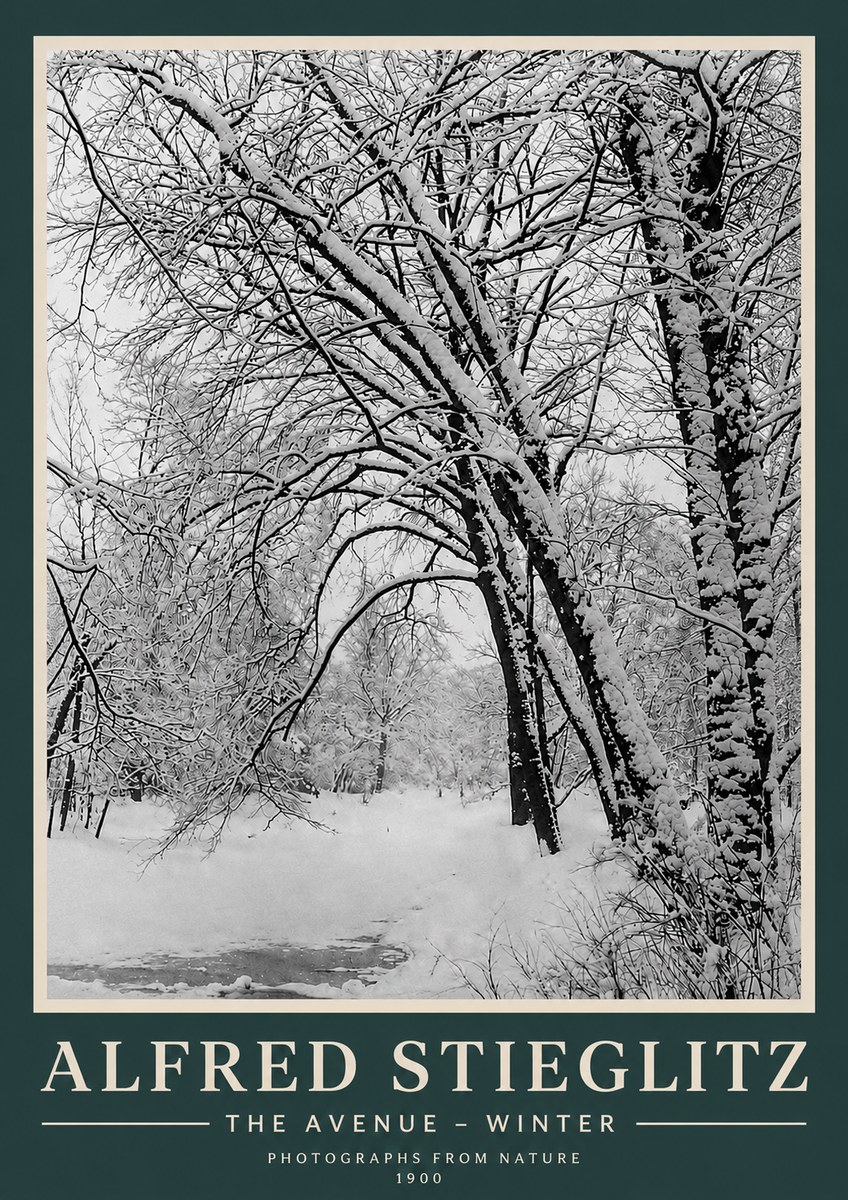 Alfred Stieglitz The Avenue – Winter No3 - Poster