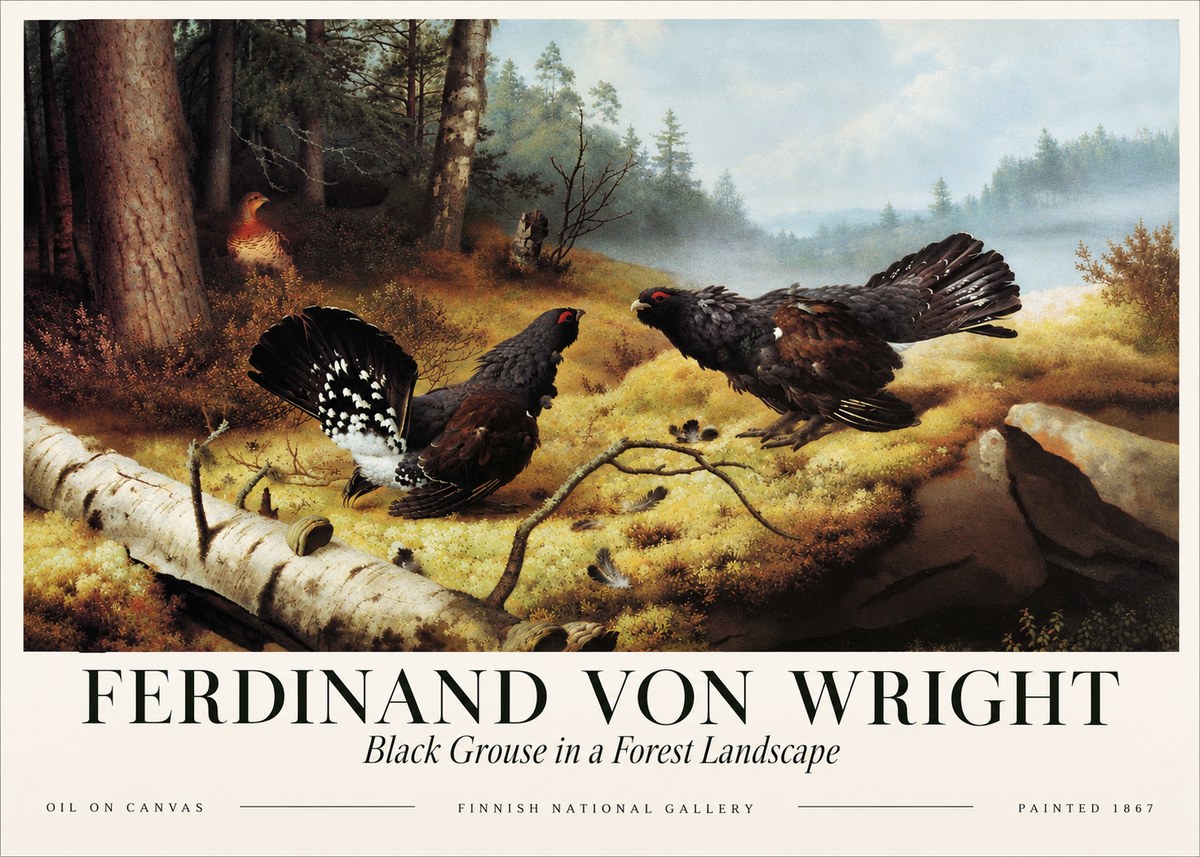 Ferdinand von Wright Black Grouse in a Forest Landscape No3 - Poster