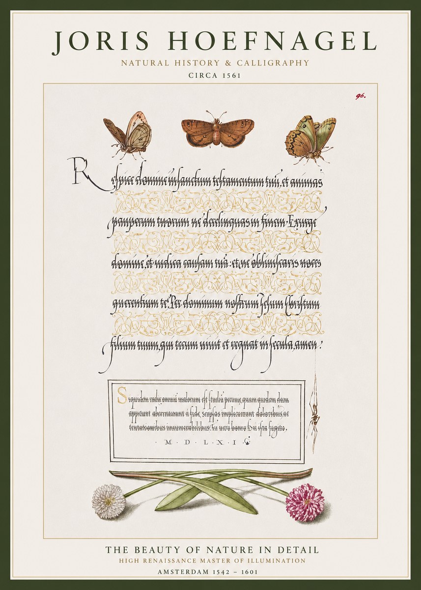 Joris Hoefnagel Butterflies, Flowers and Calligraphy Page No1 - Poster