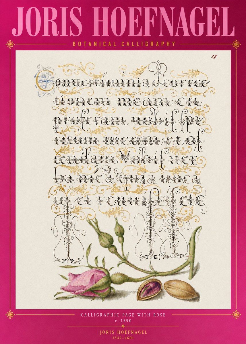 Joris Hoefnagel Calligraphic Page with Rose No2 - Poster