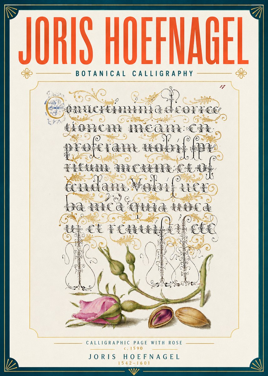 Joris Hoefnagel Calligraphic Page with Rose No6 - Poster