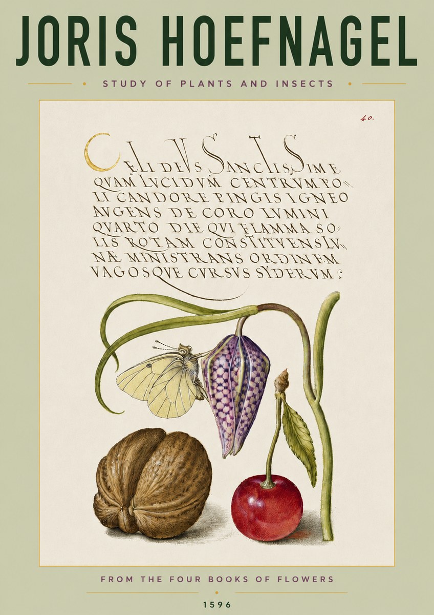 Joris Hoefnagel Study of Plants and Insects No4 - Poster