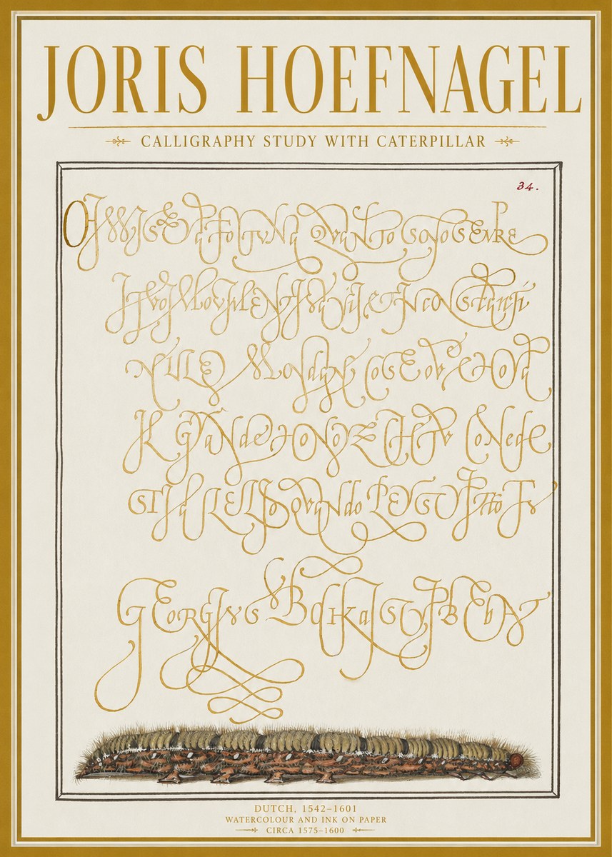 Joris Hoefnagel Calligraphy Study with Caterpillar No1 - Poster