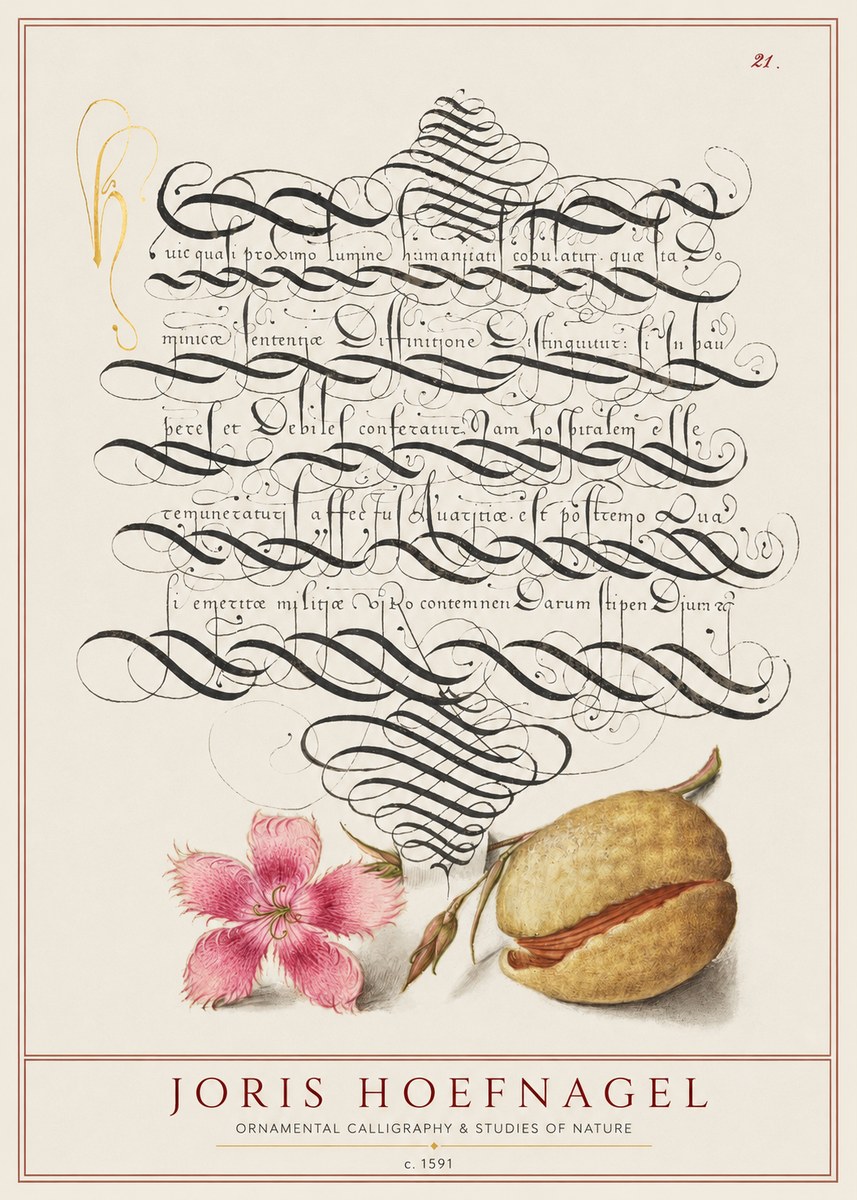 Joris Hoefnagel Ornamental Calligraphy & Studies of Nature No1 - Poster