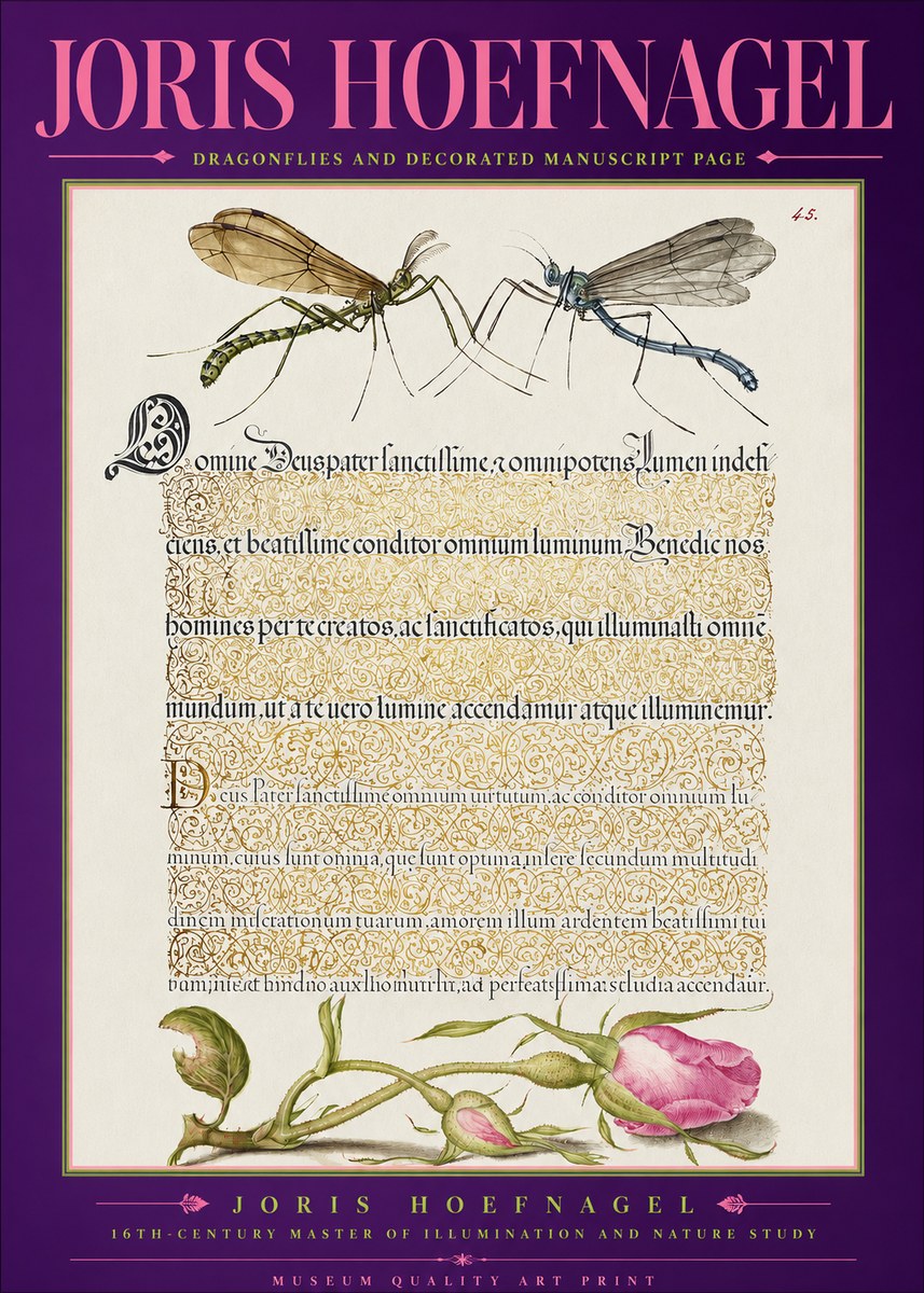 Joris Hoefnagel Dragonflies and Decorated Manuscript Page No2 - Poster