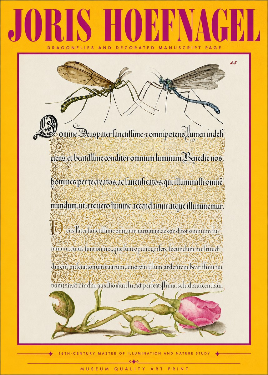 Joris Hoefnagel Dragonflies and Decorated Manuscript Page No4 - Poster