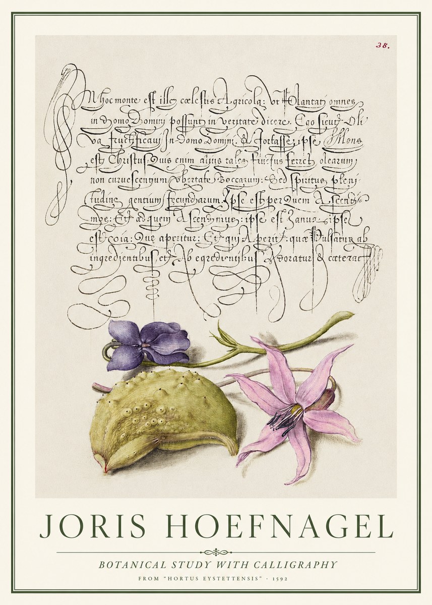 Joris Hoefnagel Botanical Study with Calligraphy I No1 - Poster