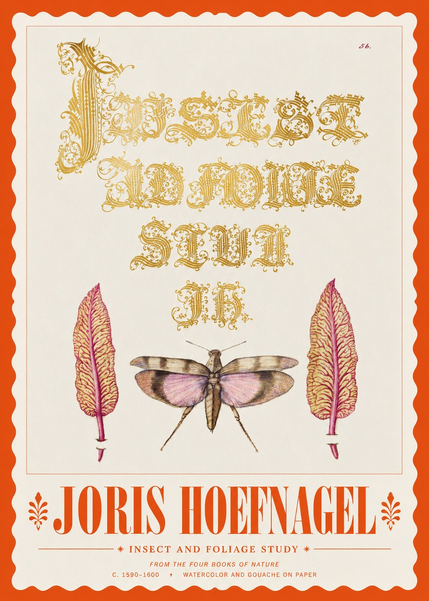 Joris Hoefnagel Insect and Foliage Study No3 - Poster