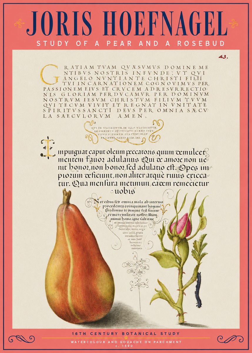 Joris Hoefnagel Aphorisms with Pear and Rose No5 - Poster